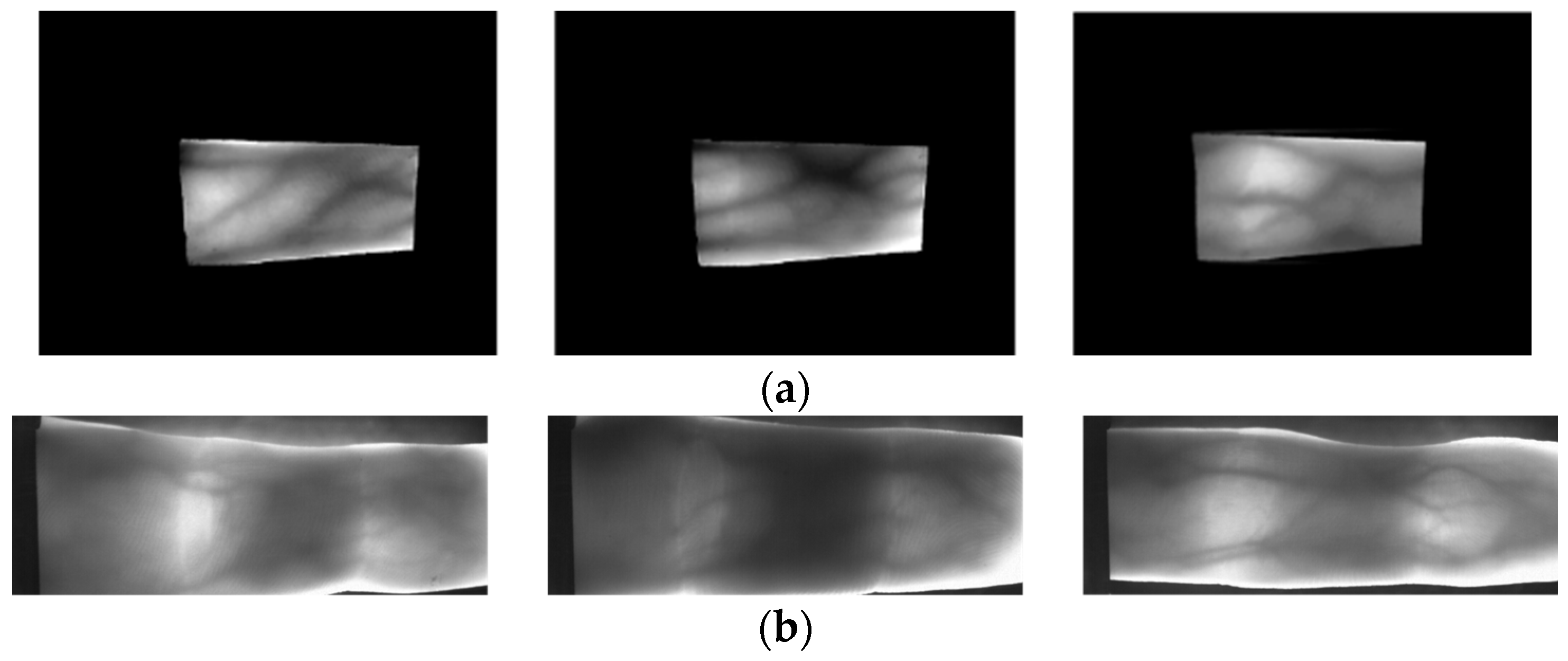 Fractalfract 08 00646 g005