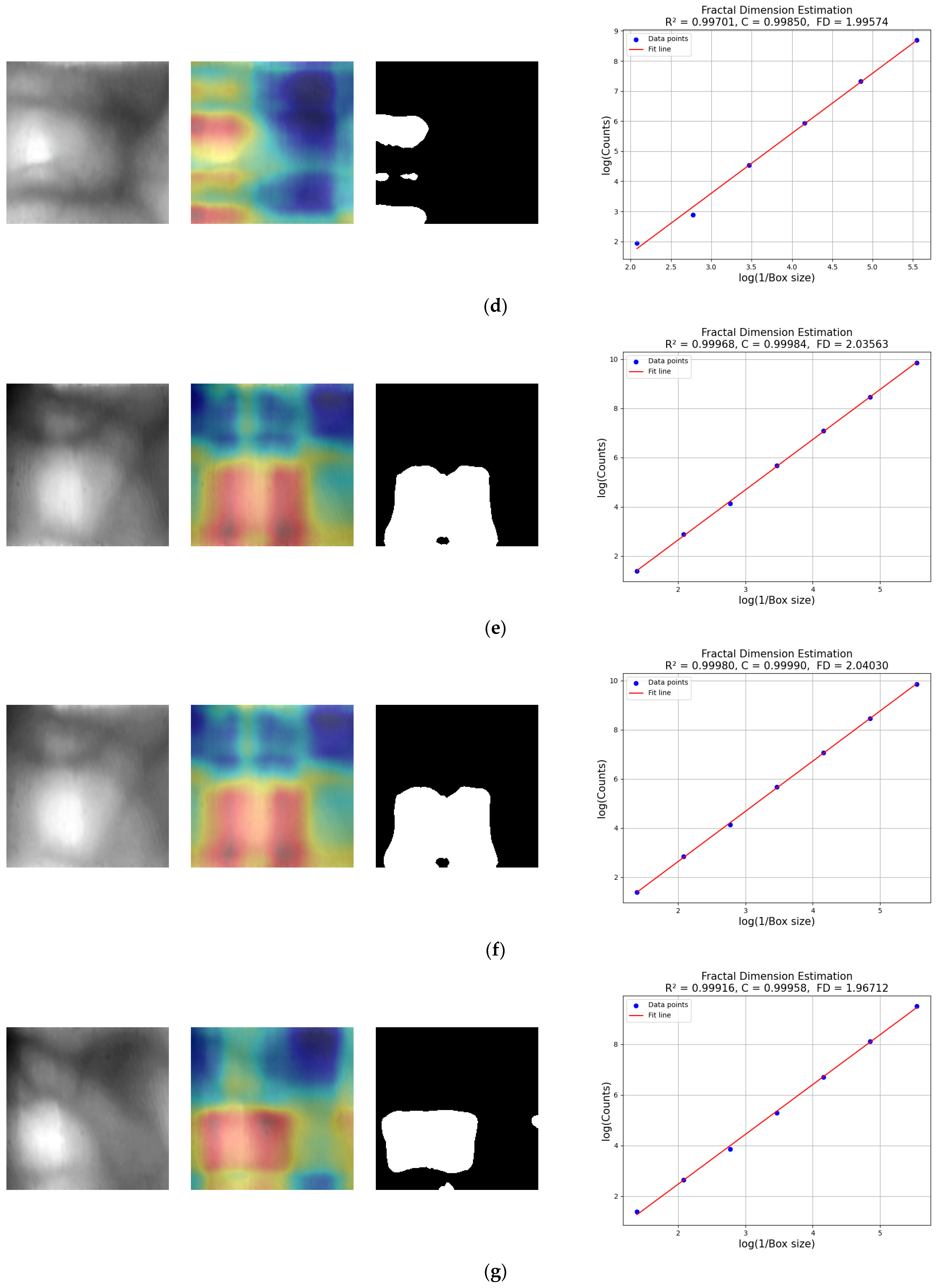 Fractalfract 08 00646 g010b