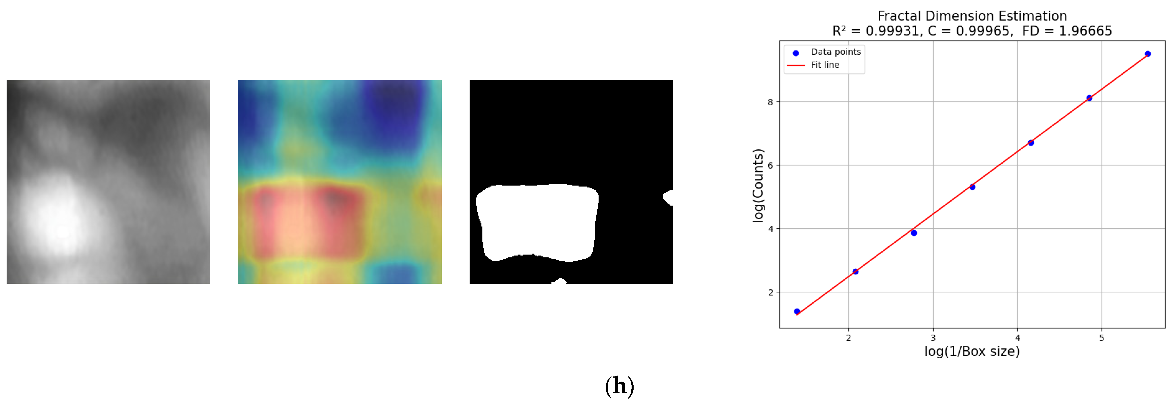 Fractalfract 08 00646 g010c