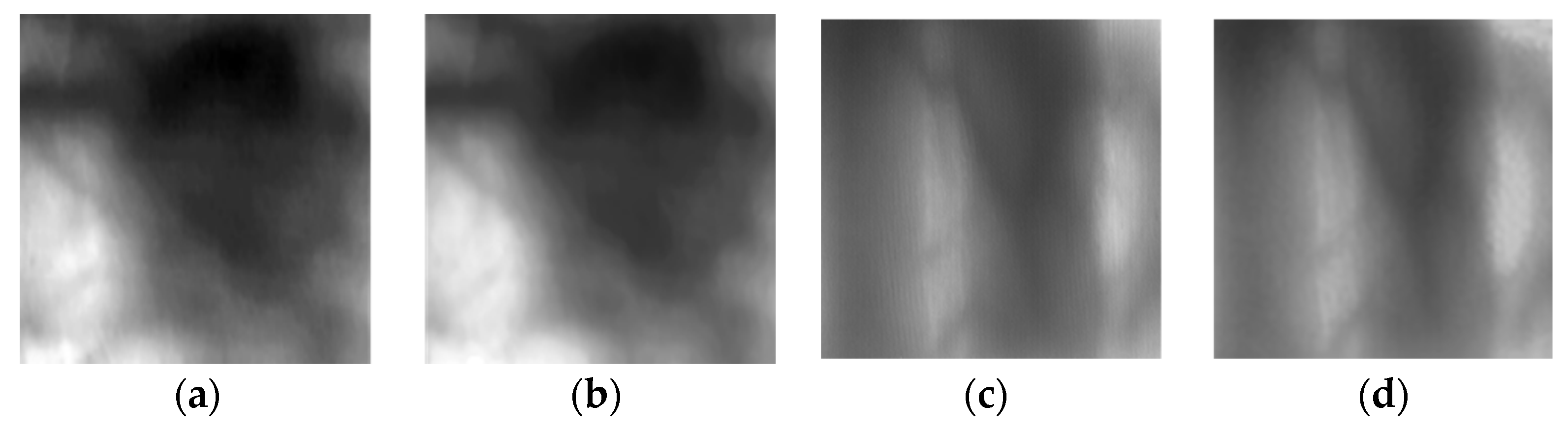 Fractalfract 08 00646 g013