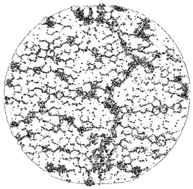 Fractalfract 08 00669 i023