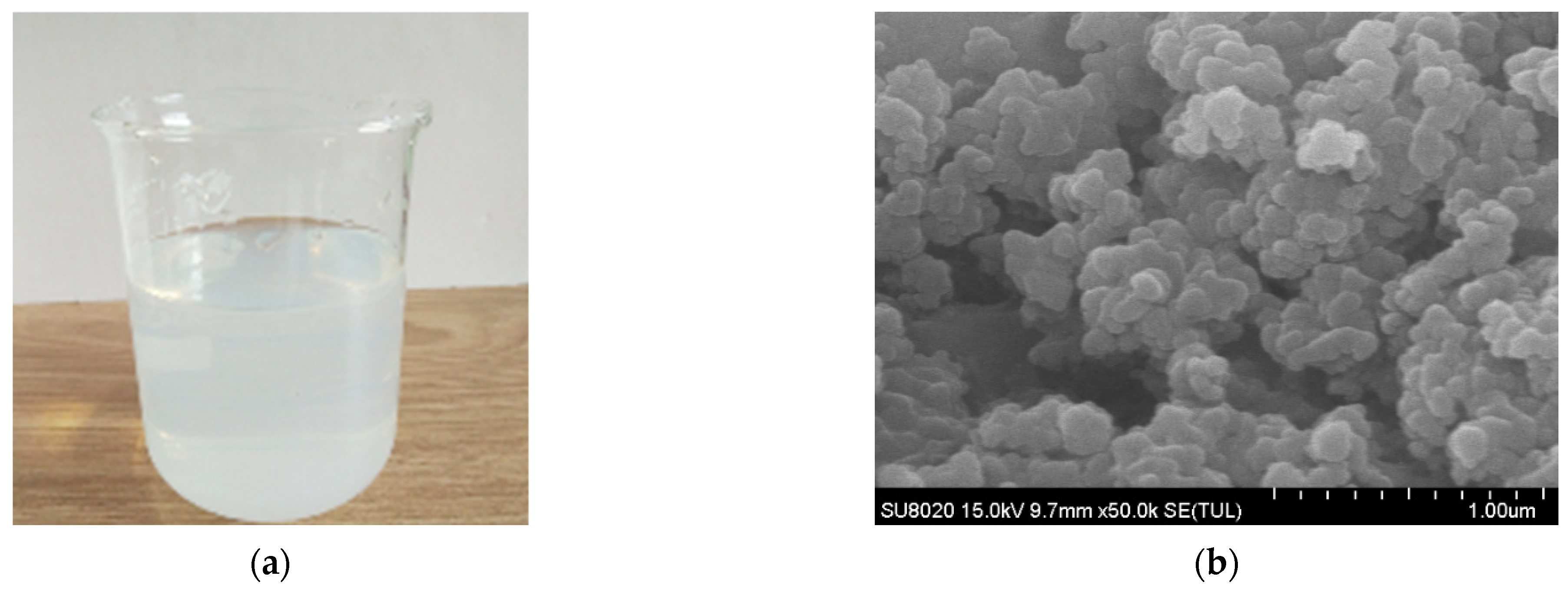 Fractalfract 08 00694 g001