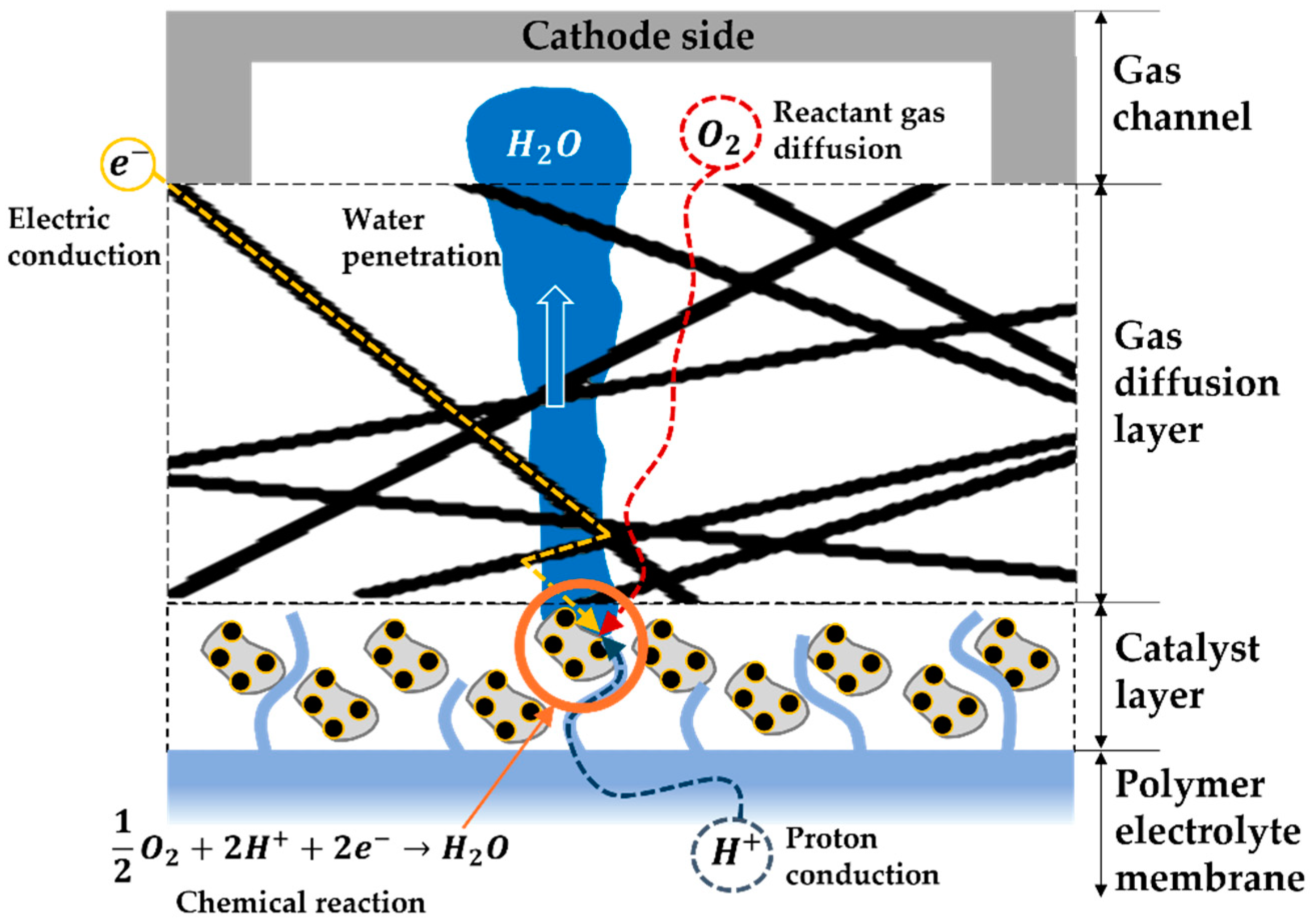 Fractalfract 08 00719 g001