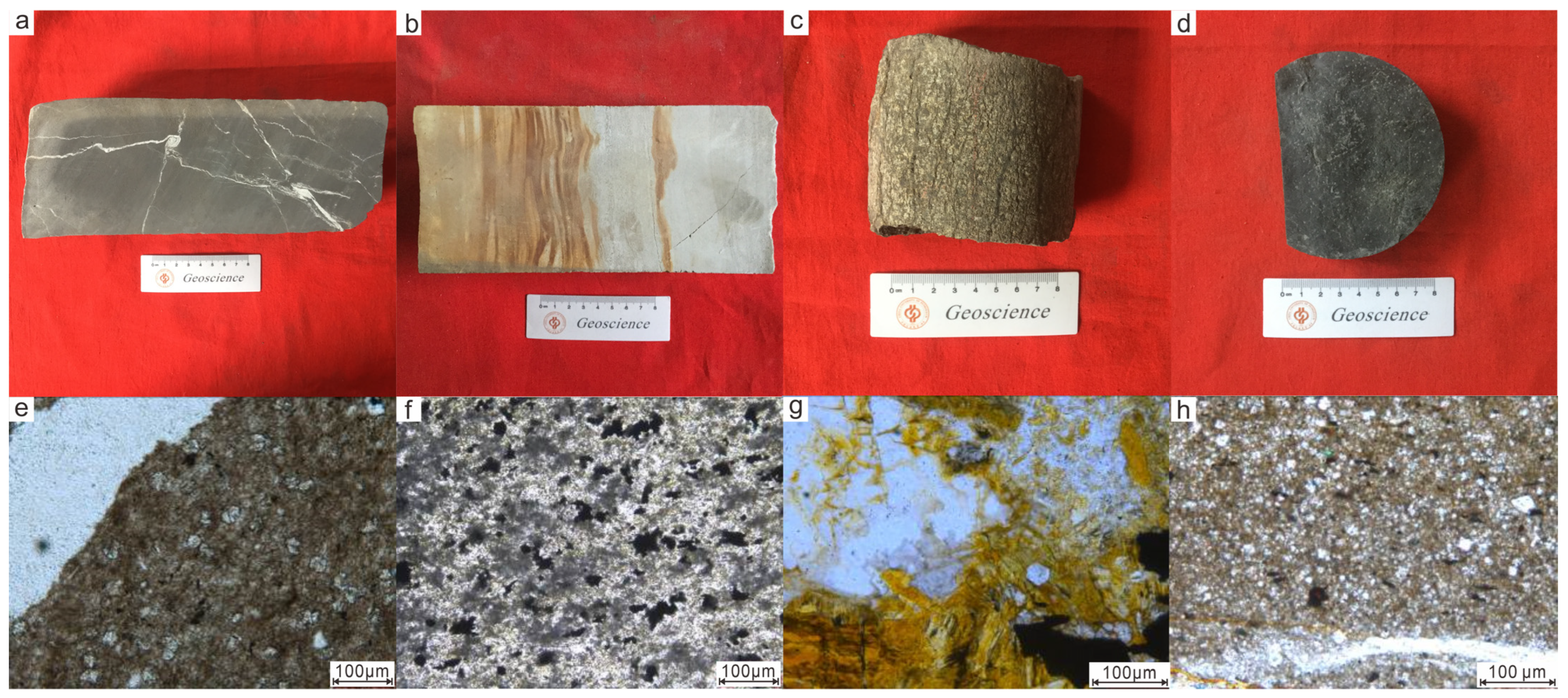 Fractalfract 08 00737 g003