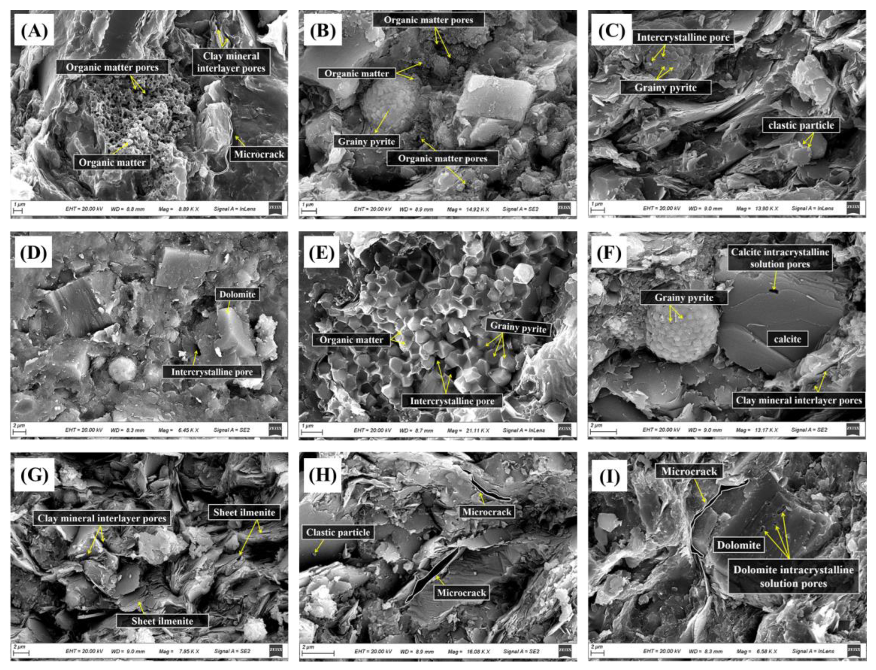 Fractalfract 09 00002 g002