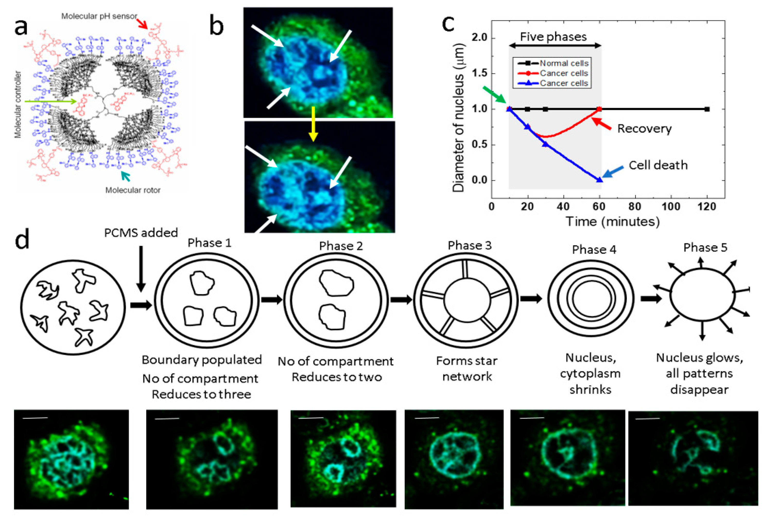 Fractalfract 09 00008 g001