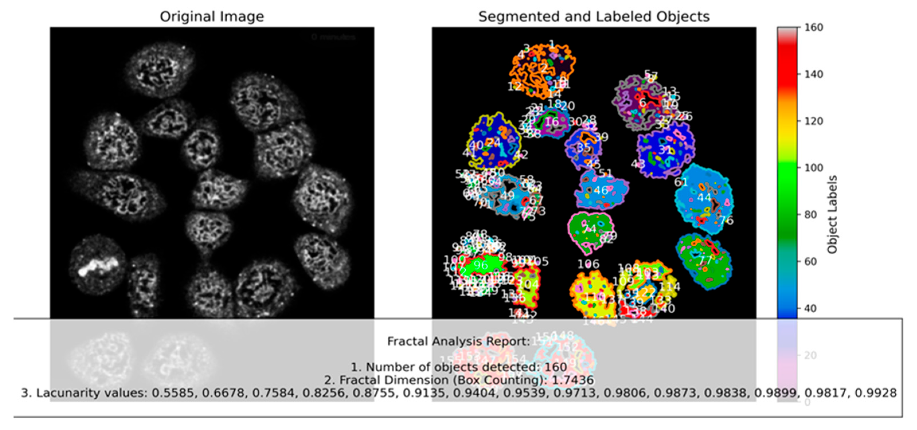Fractalfract 09 00008 g004