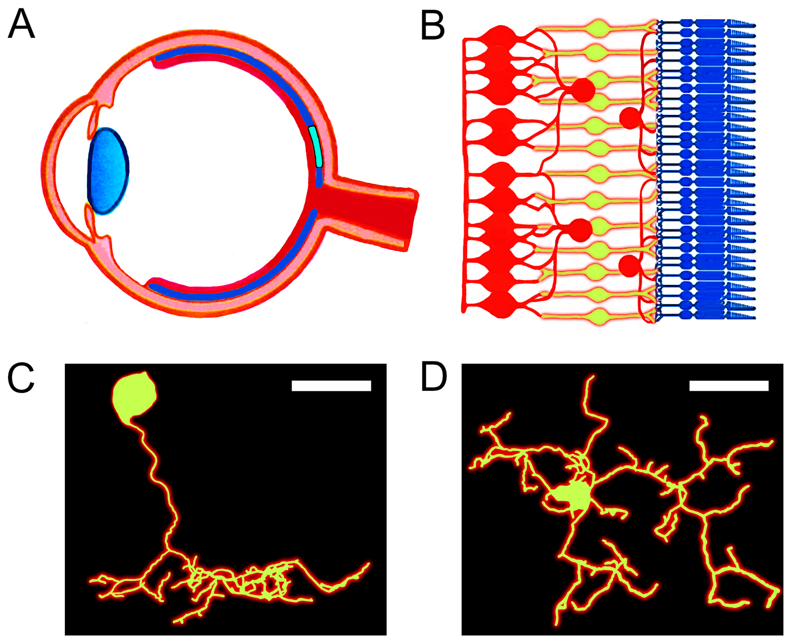 Fractalfract 09 00009 g001