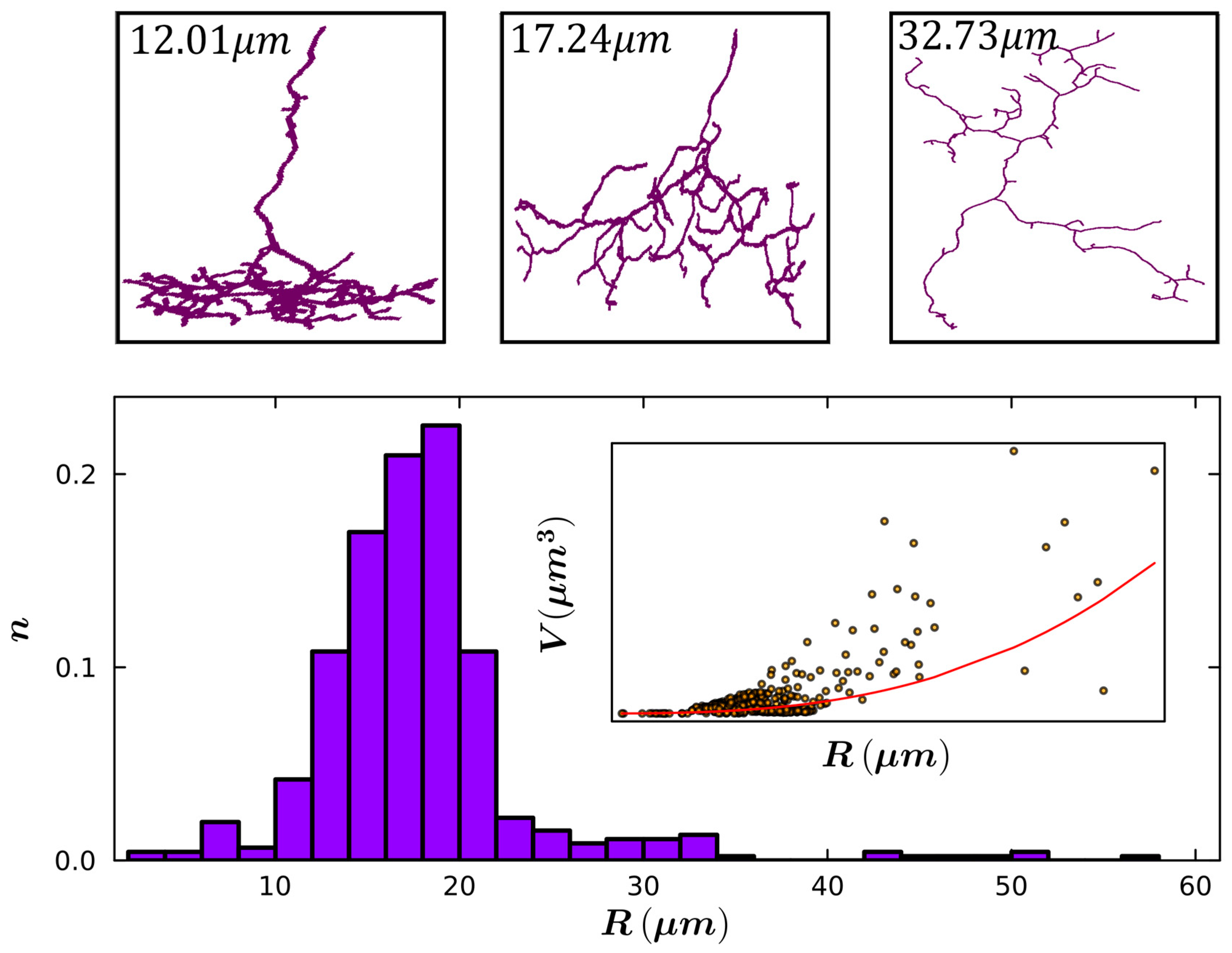 Fractalfract 09 00009 g005