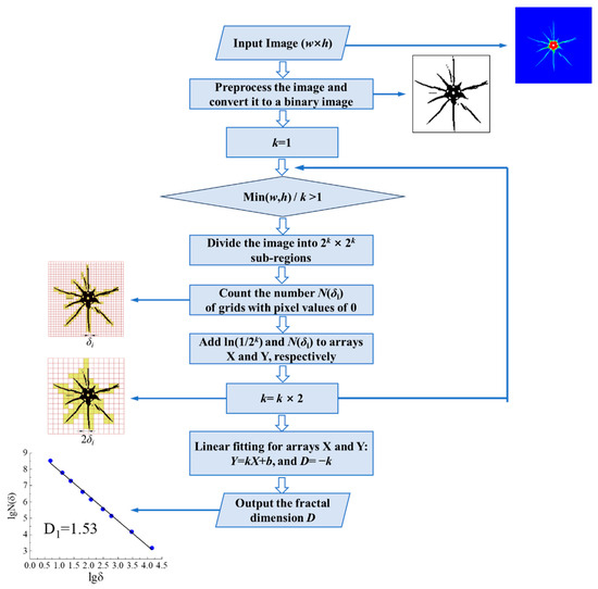 A様リクエスト Exploring electrode/polymer electrolyte interface chemistry