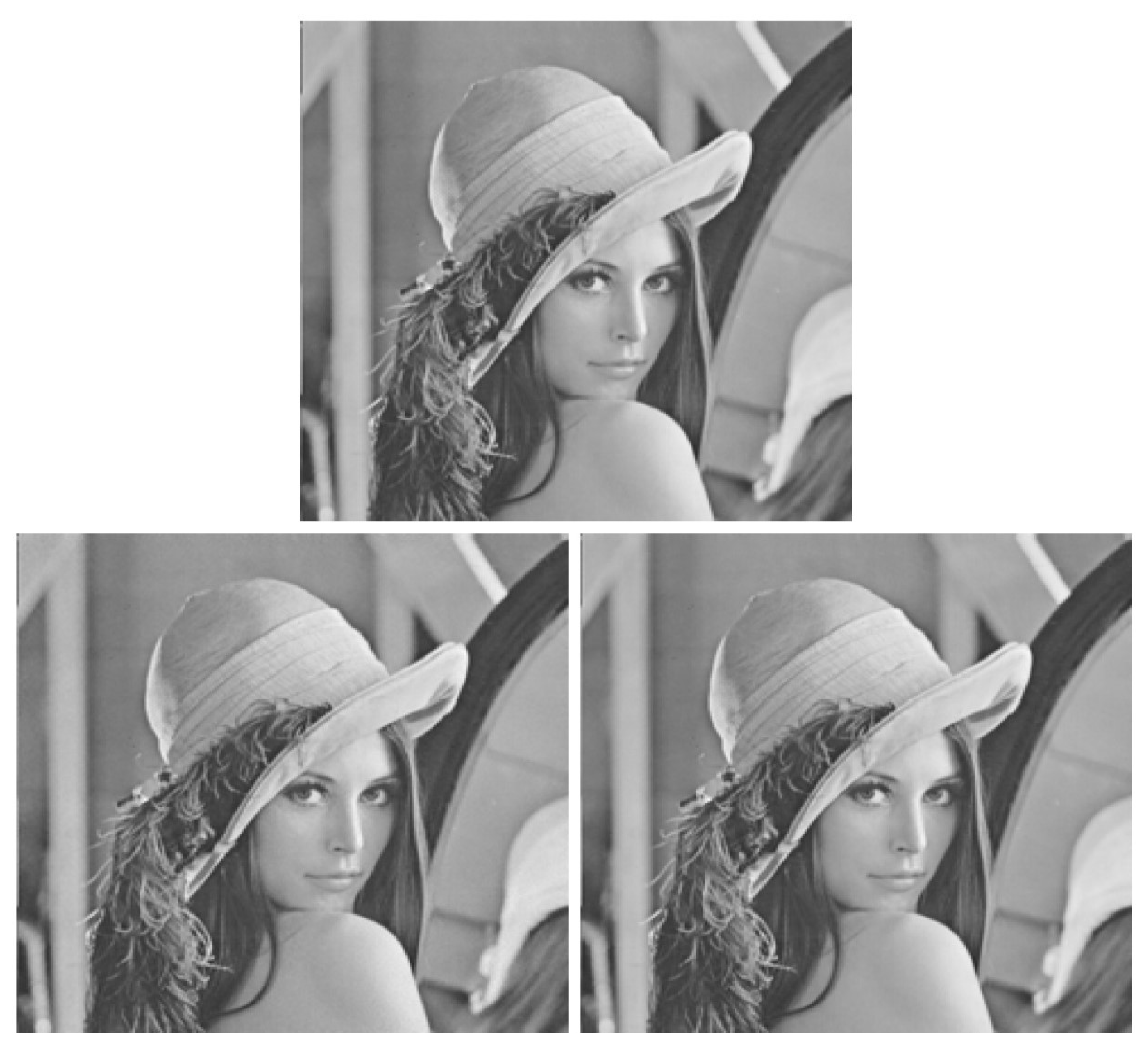 Fractalfract 09 00095 g012