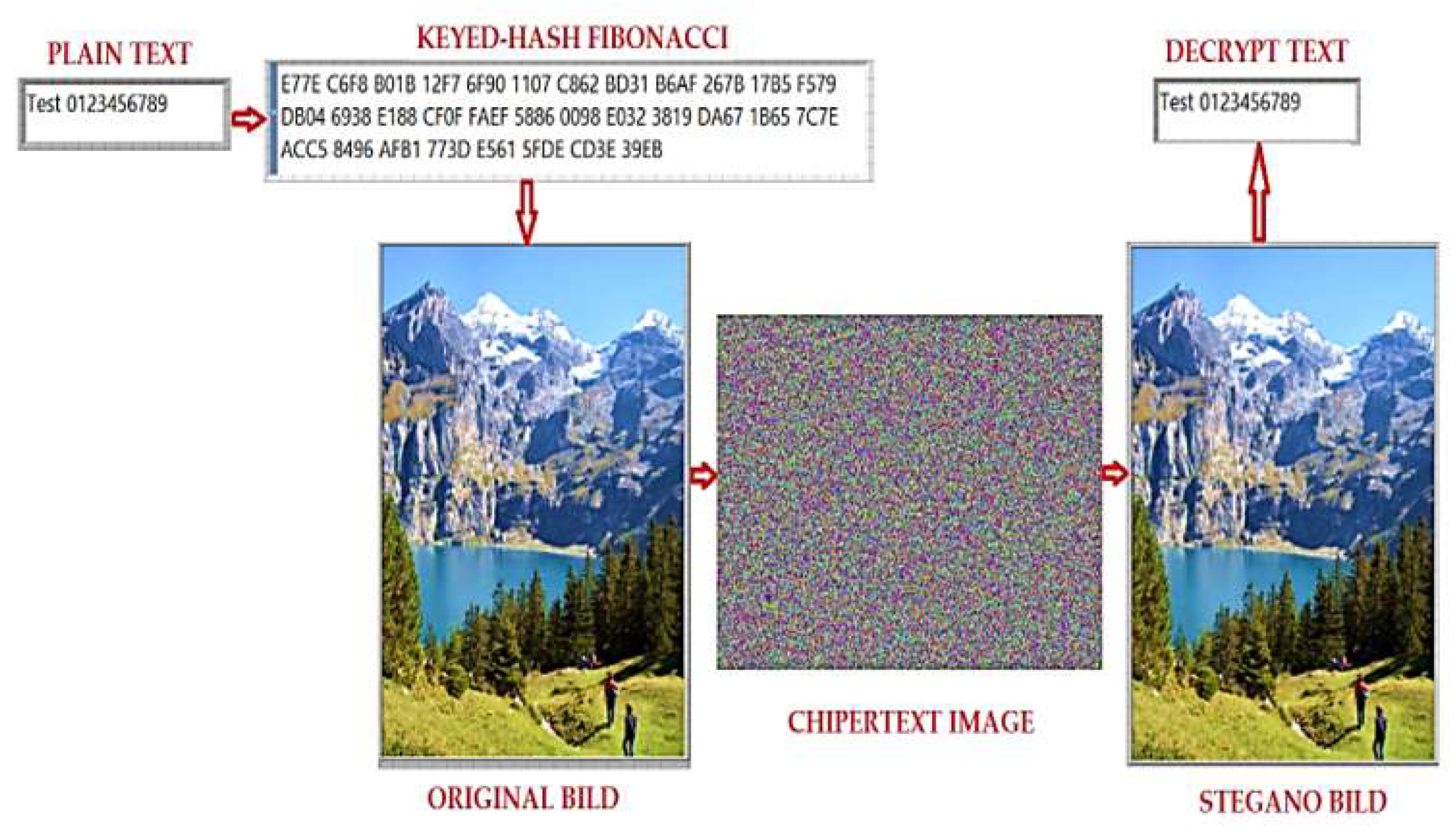 Fractalfract 09 00095 g019