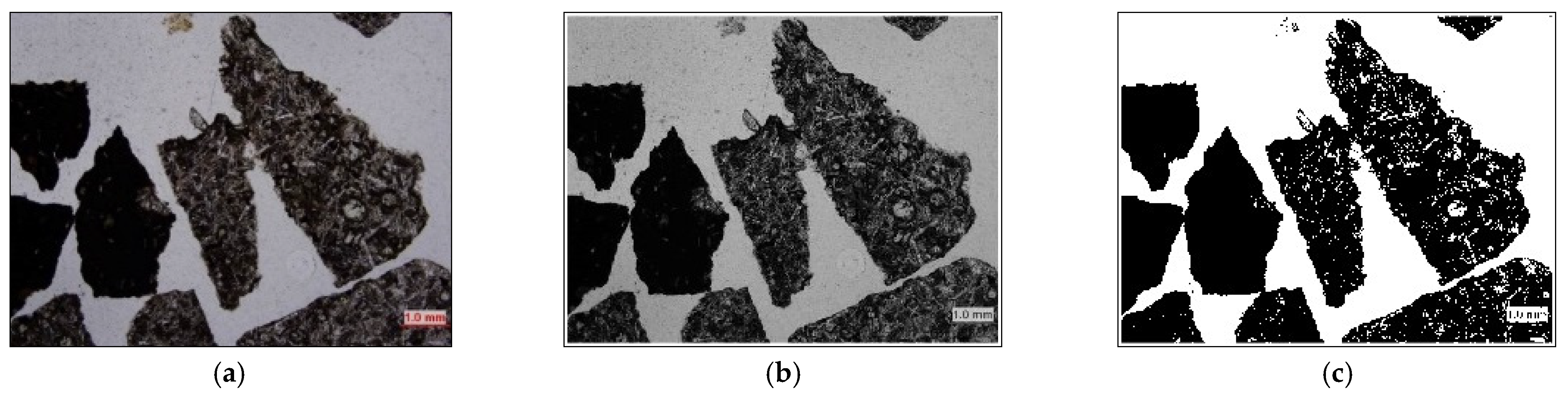 Fractalfract 09 00099 g005