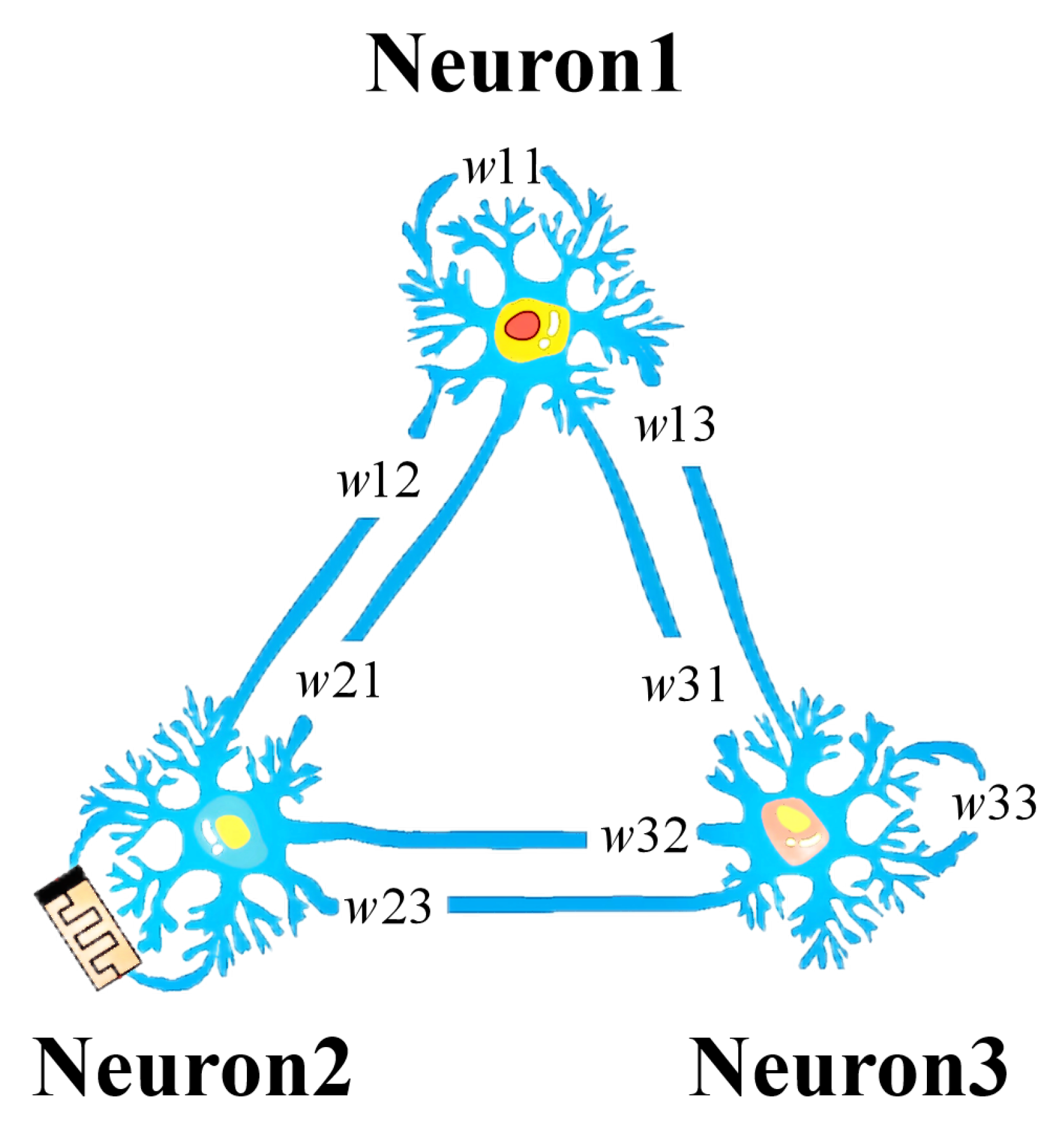 Fractalfract 09 00115 g002