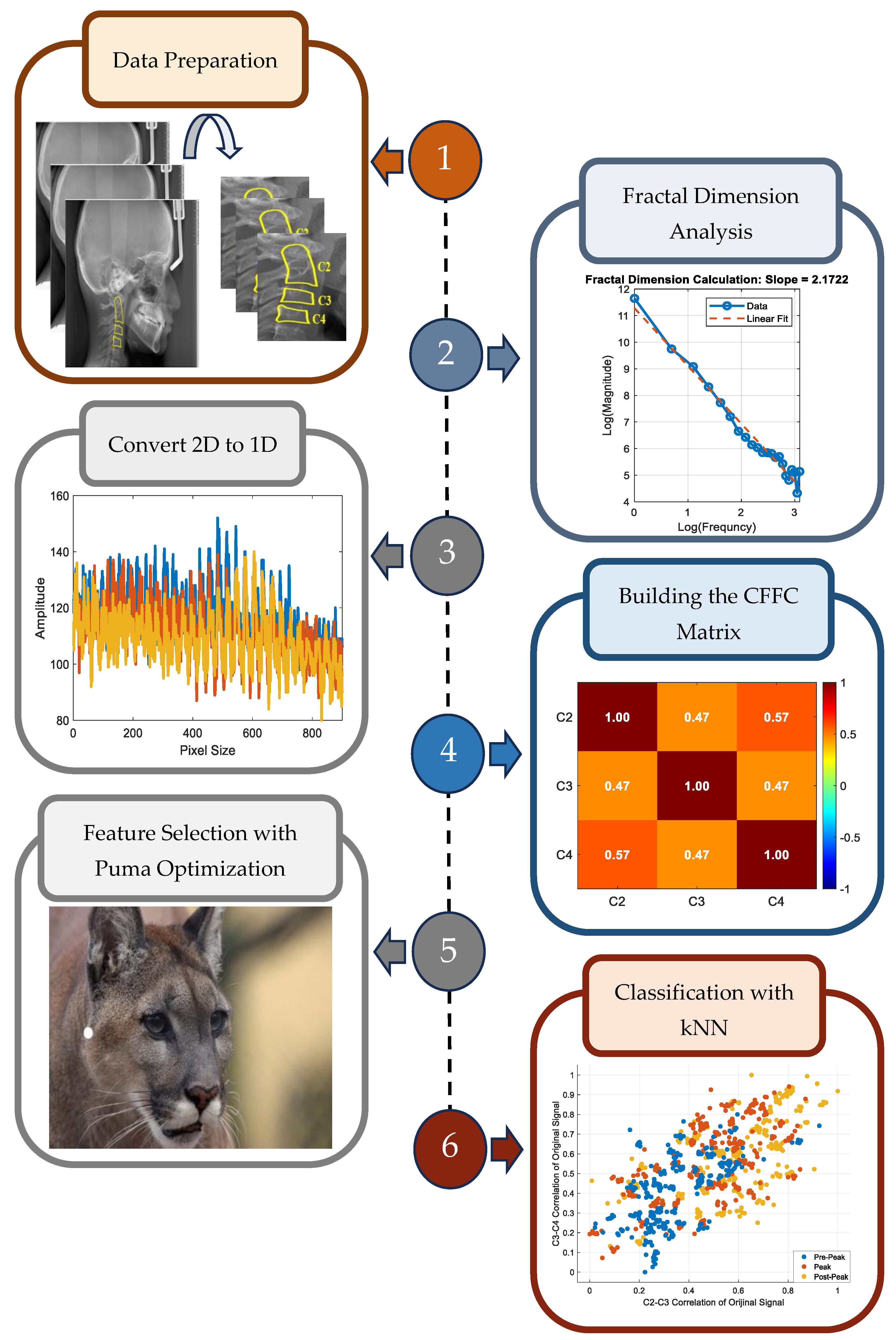 Fractalfract 09 00148 g001