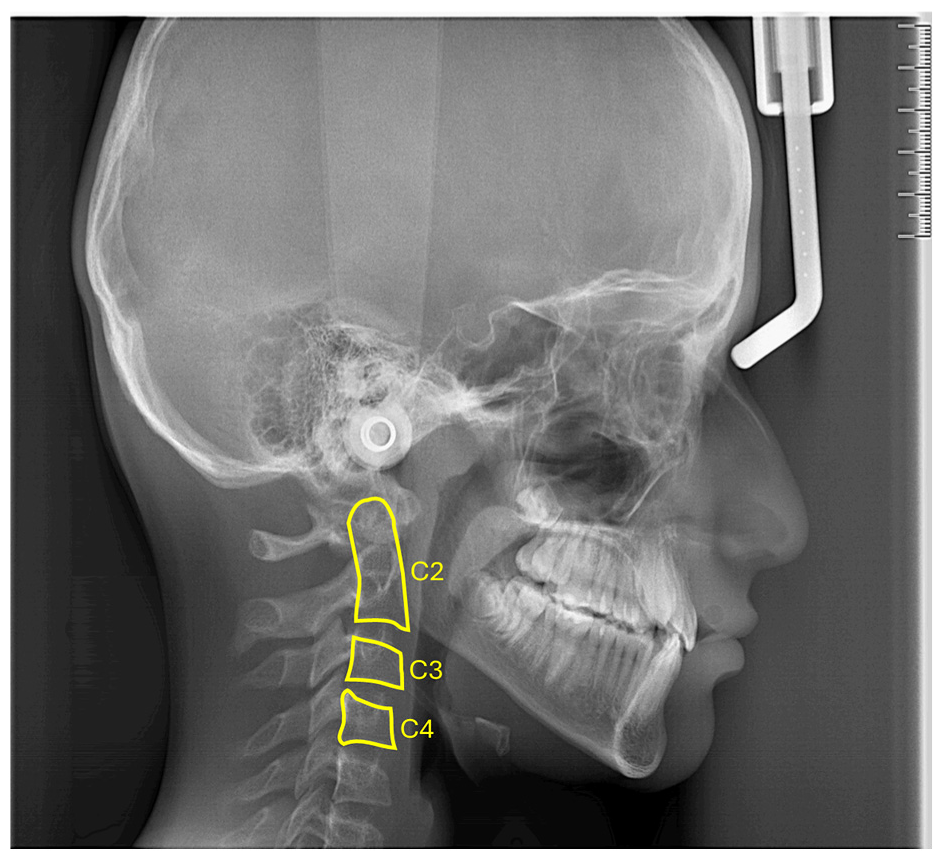 Fractalfract 09 00148 g002