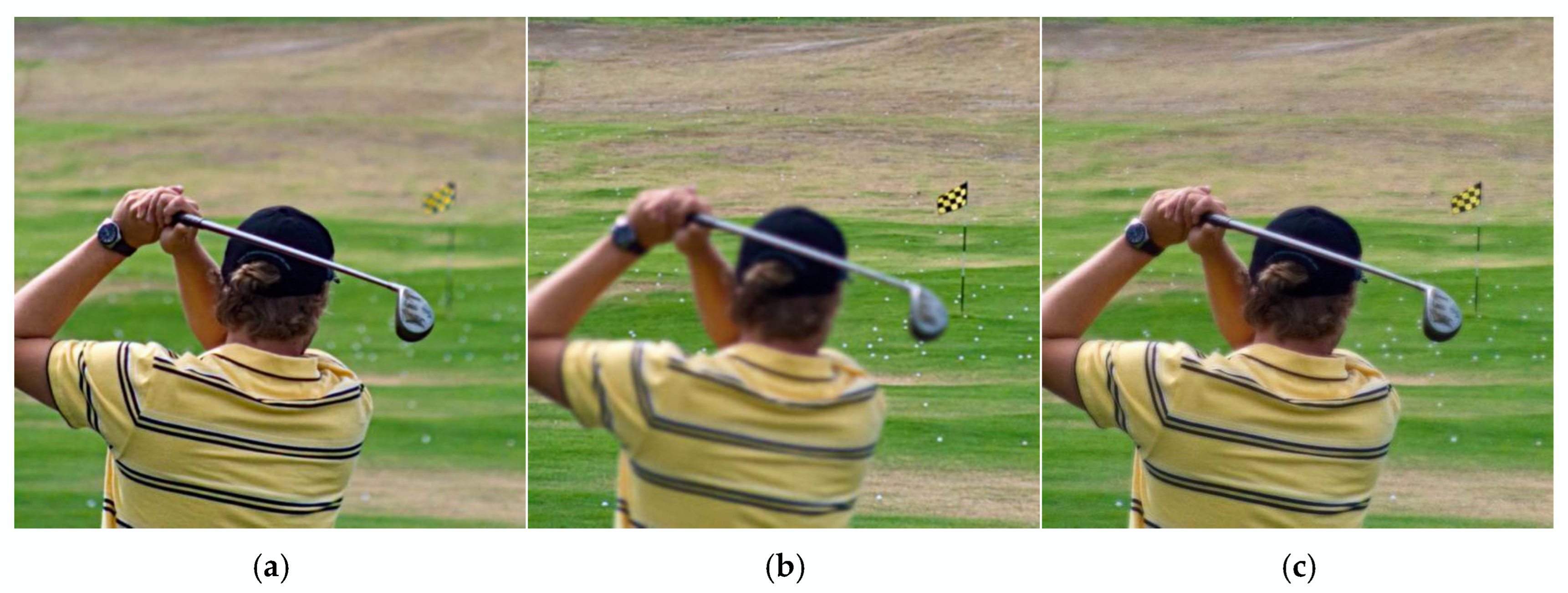 Fractalfract 09 00157 g004a