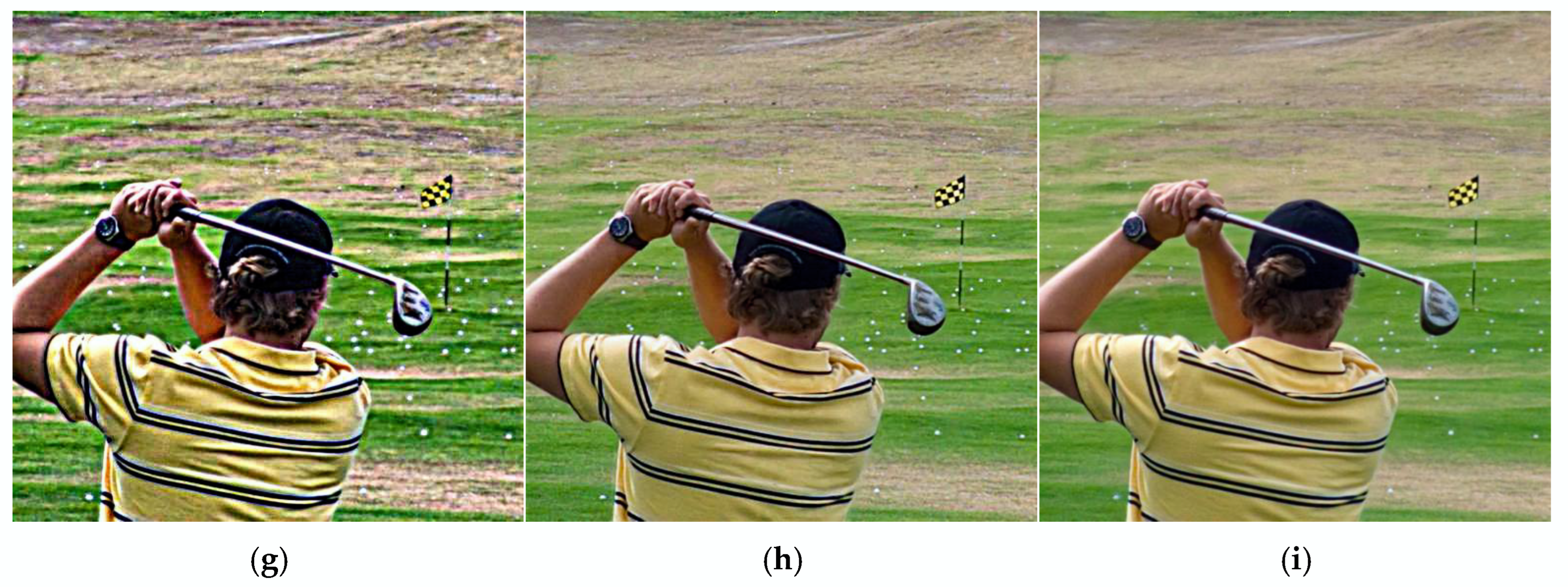 Fractalfract 09 00157 g005b