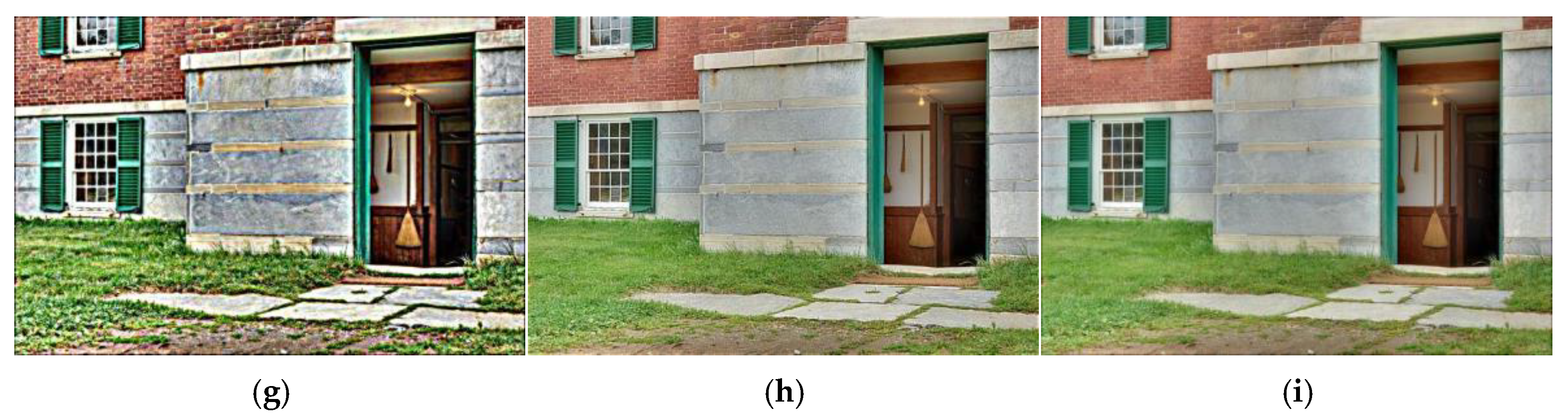 Fractalfract 09 00157 g009b