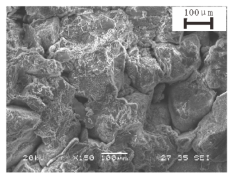 Fractalfract 09 00224 i003