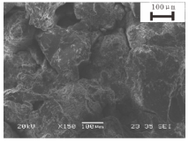 Fractalfract 09 00224 i006