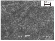 Fractalfract 09 00224 i009