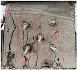 Fractalfract 09 00232 i039