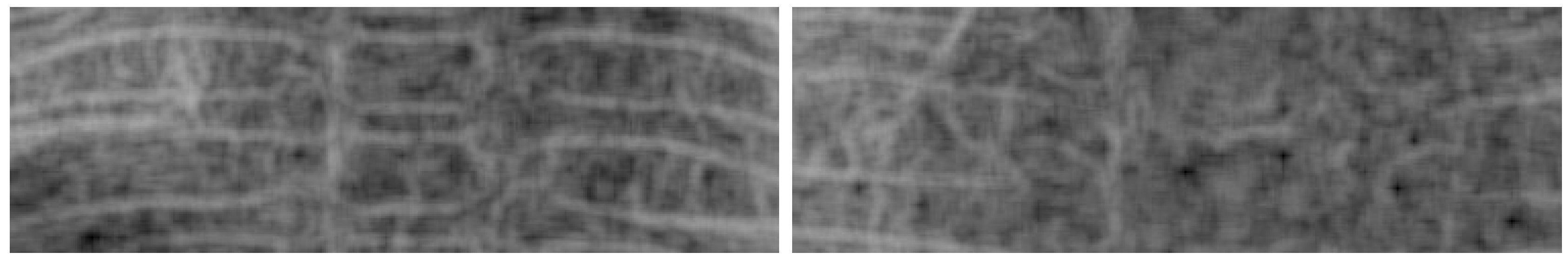 Fractalfract 09 00248 g014