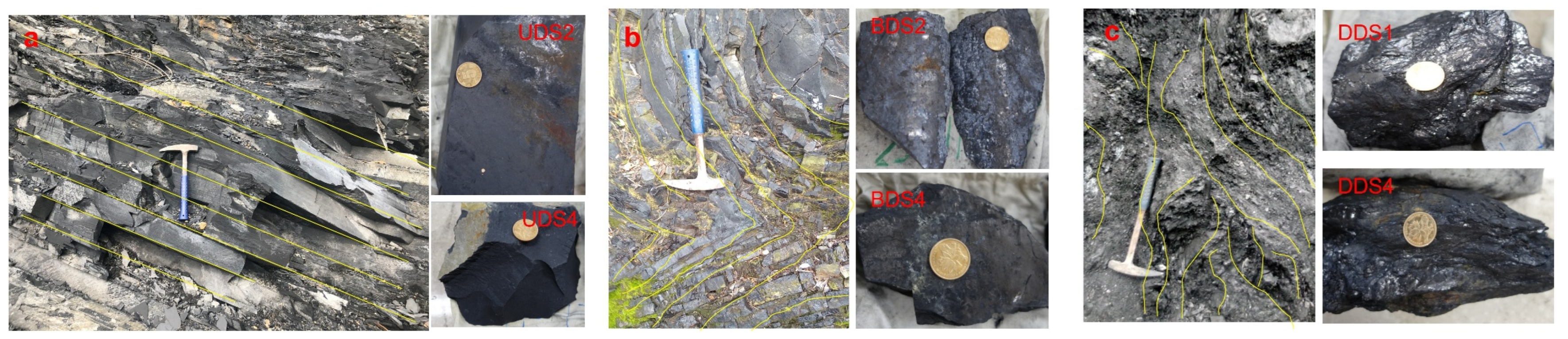 Fractalfract 09 00257 g001