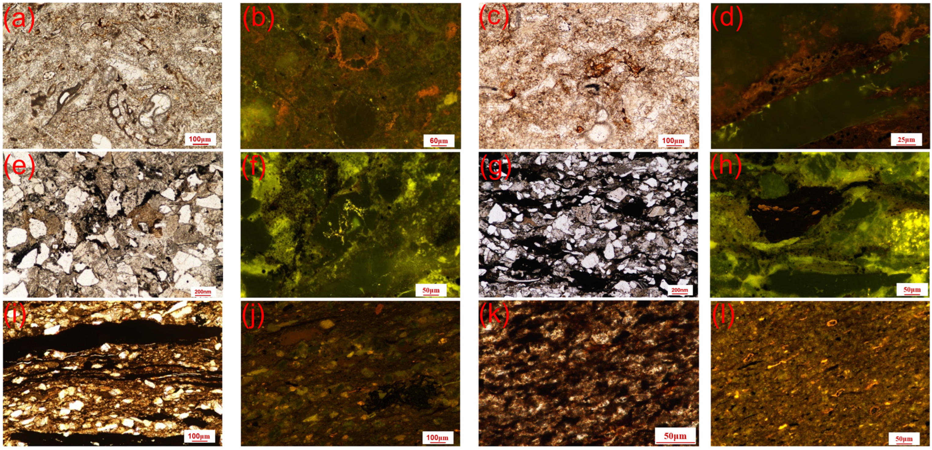 Fractalfract 09 00263 g011