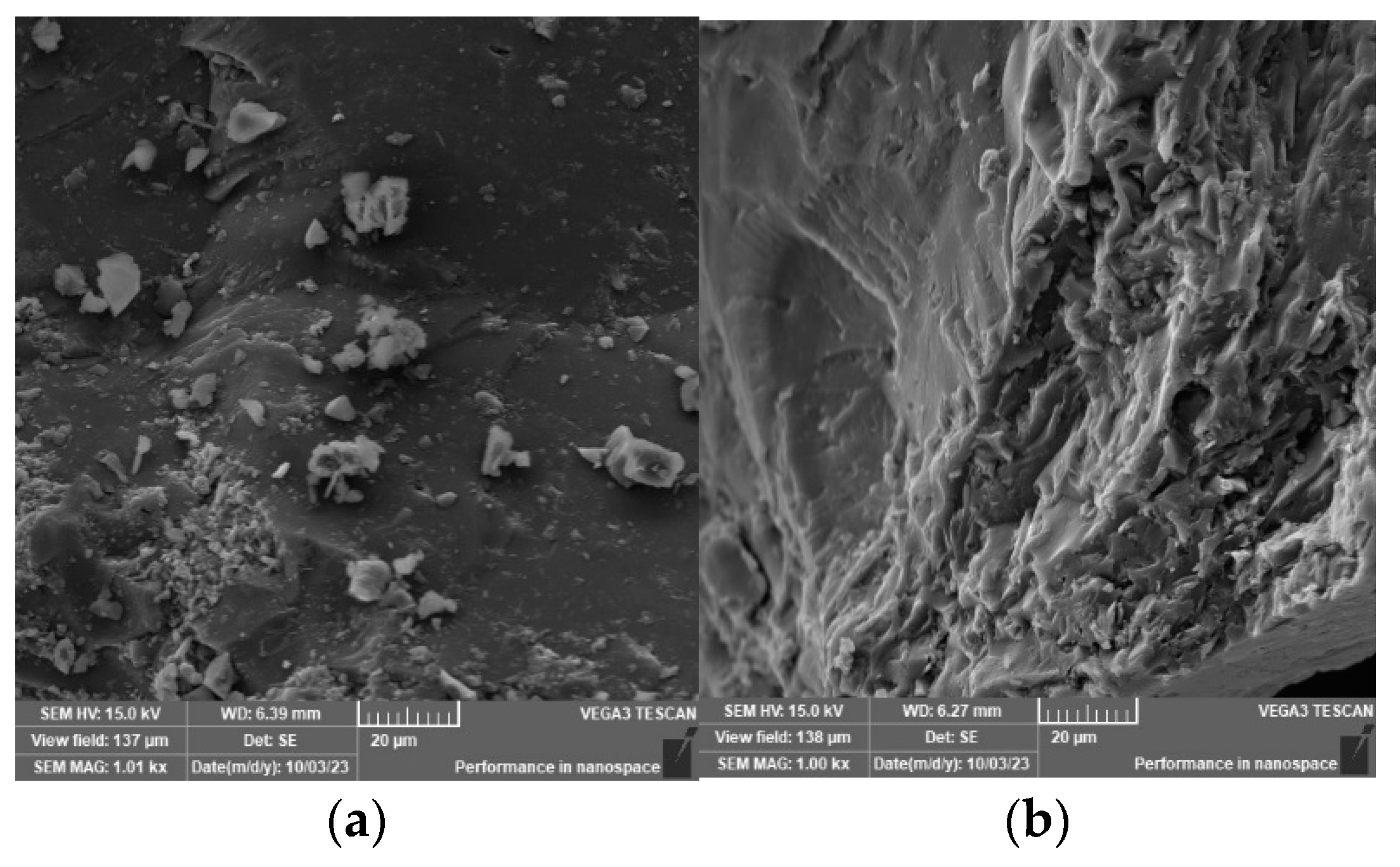 Fractalfract 09 00283 g006