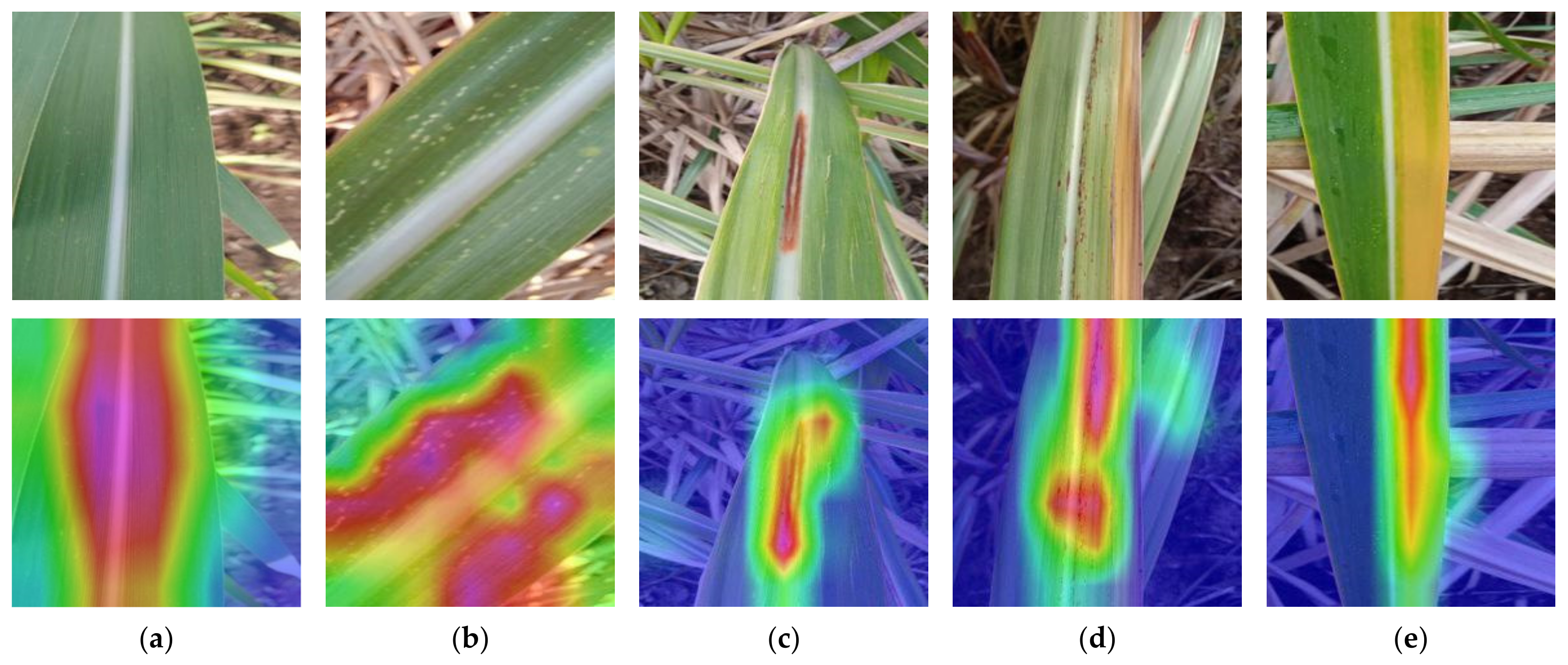 Fractalfract 09 00315 g021