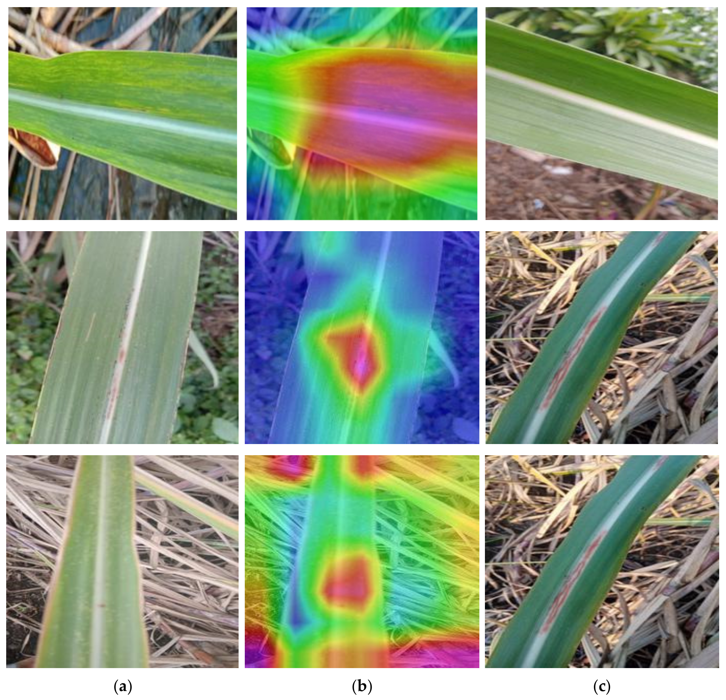 Fractalfract 09 00315 g023