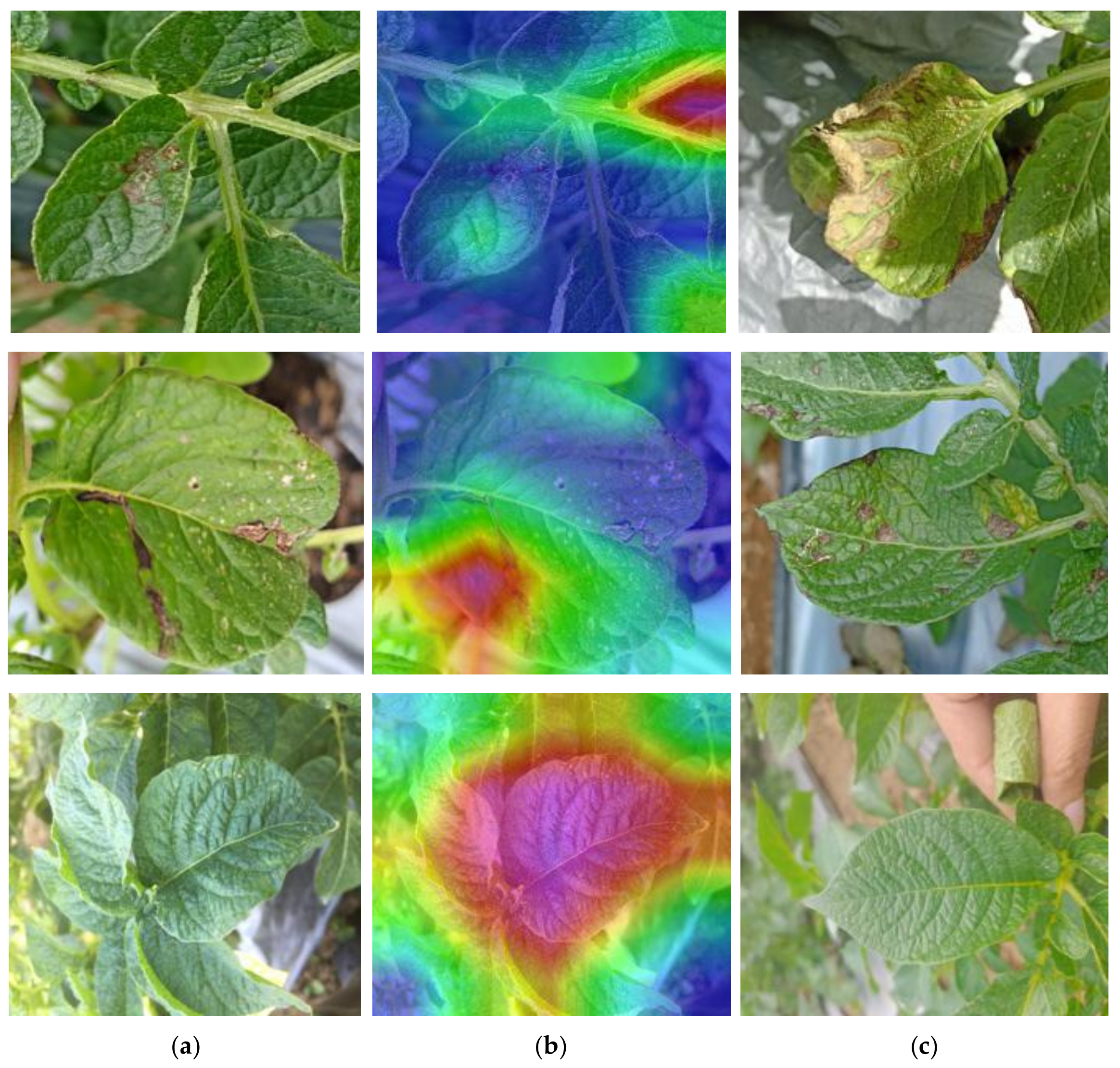 Fractalfract 09 00315 g024