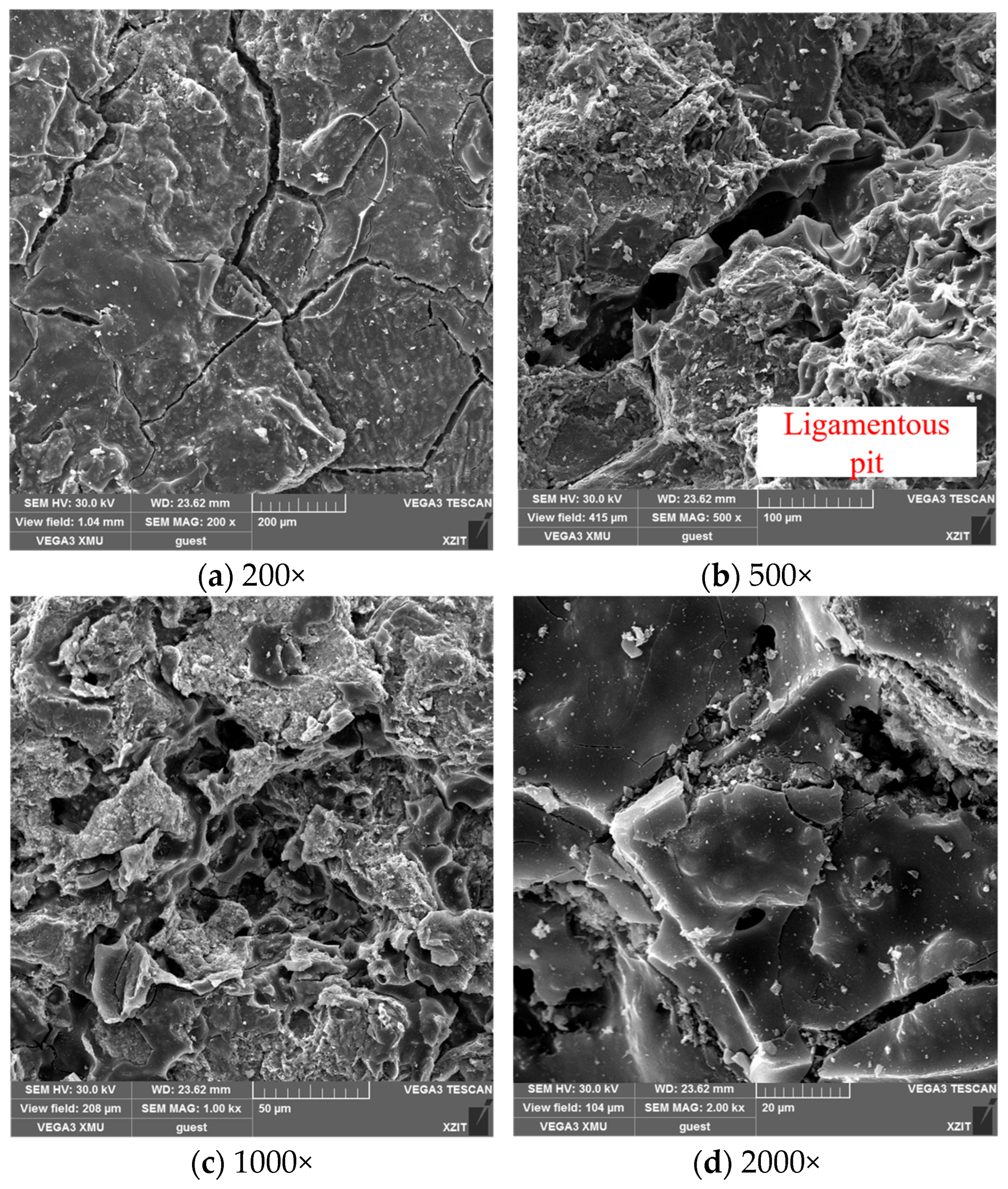 Fractalfract 09 00381 g014