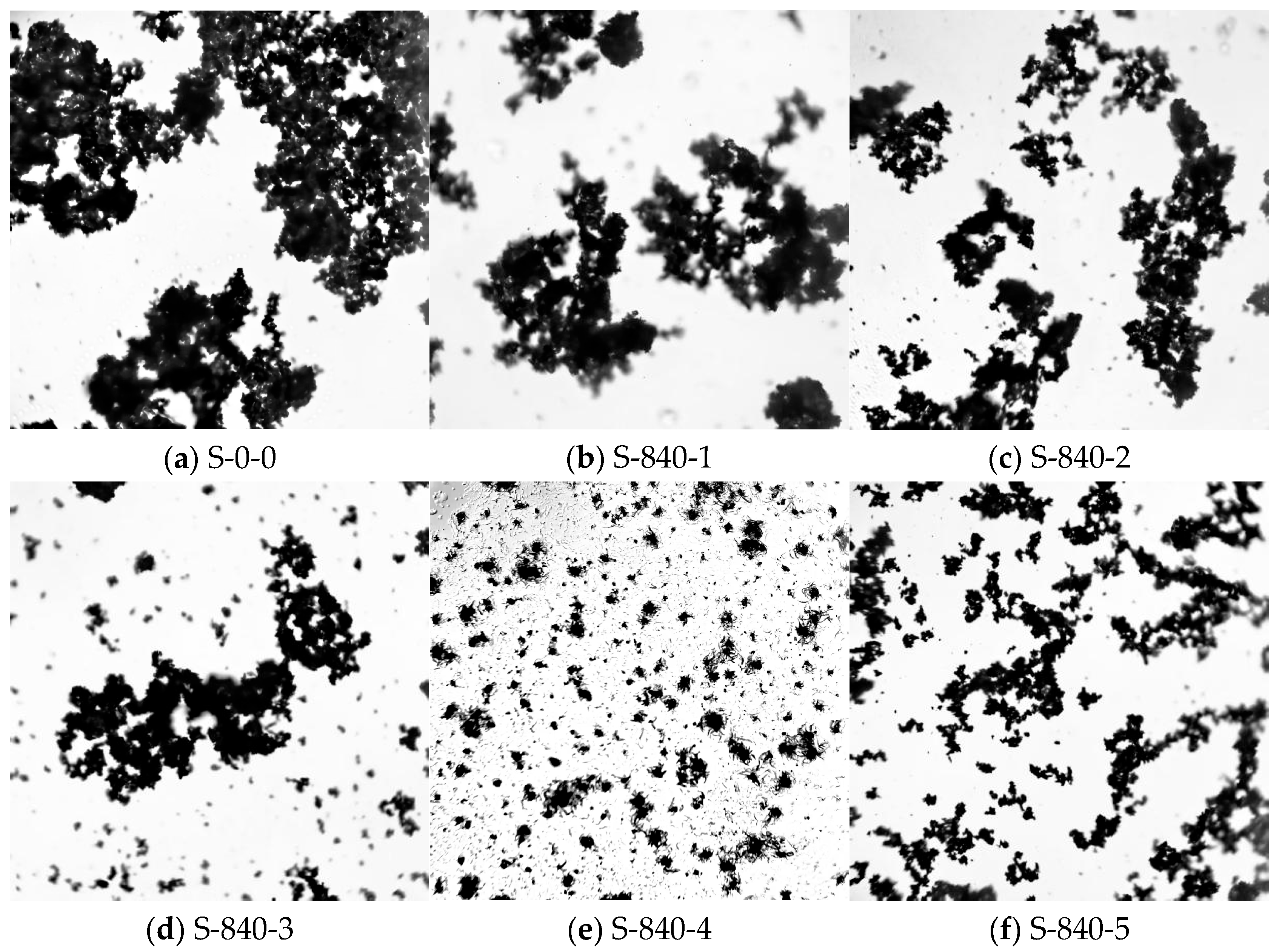 Fractalfract 09 00401 g004