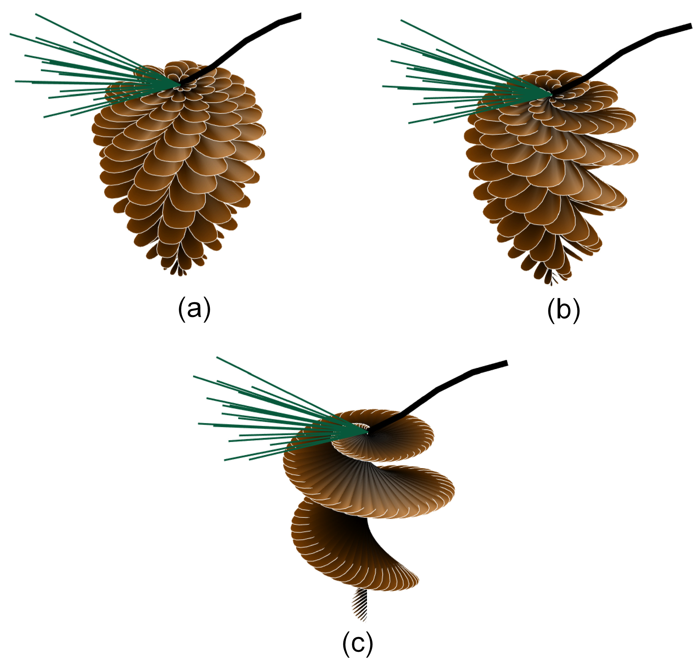 Fractalfract 09 00416 g005 Fractalfract 09 00416 g005