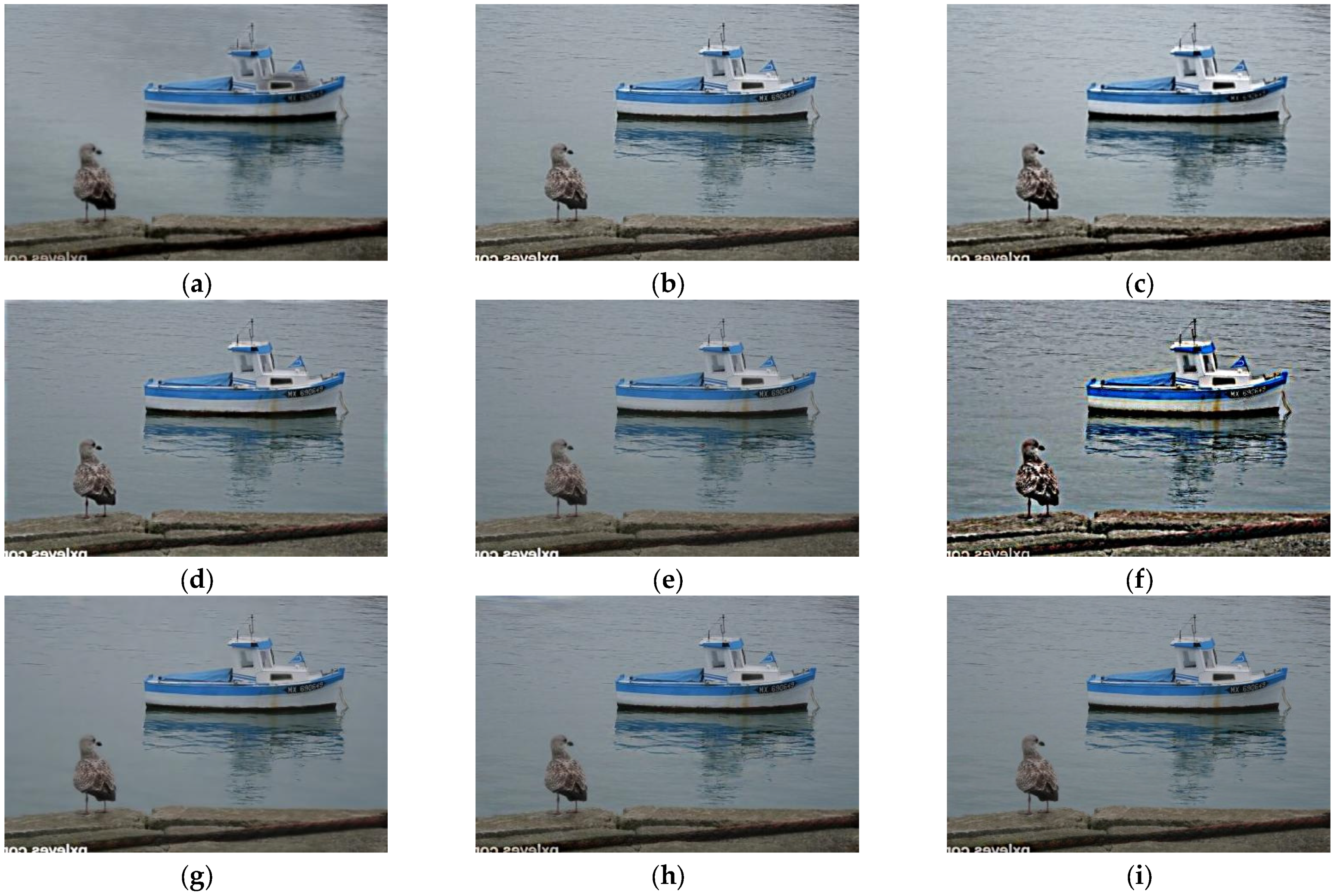 Fractalfract 09 00432 g007