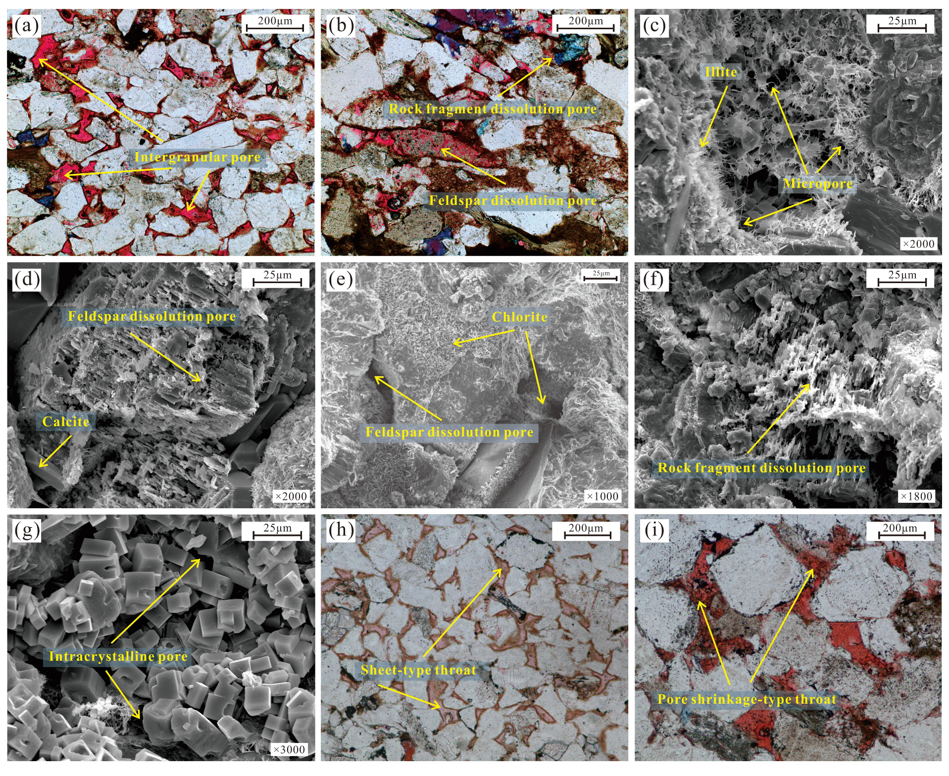 Fractalfract 09 00439 g005