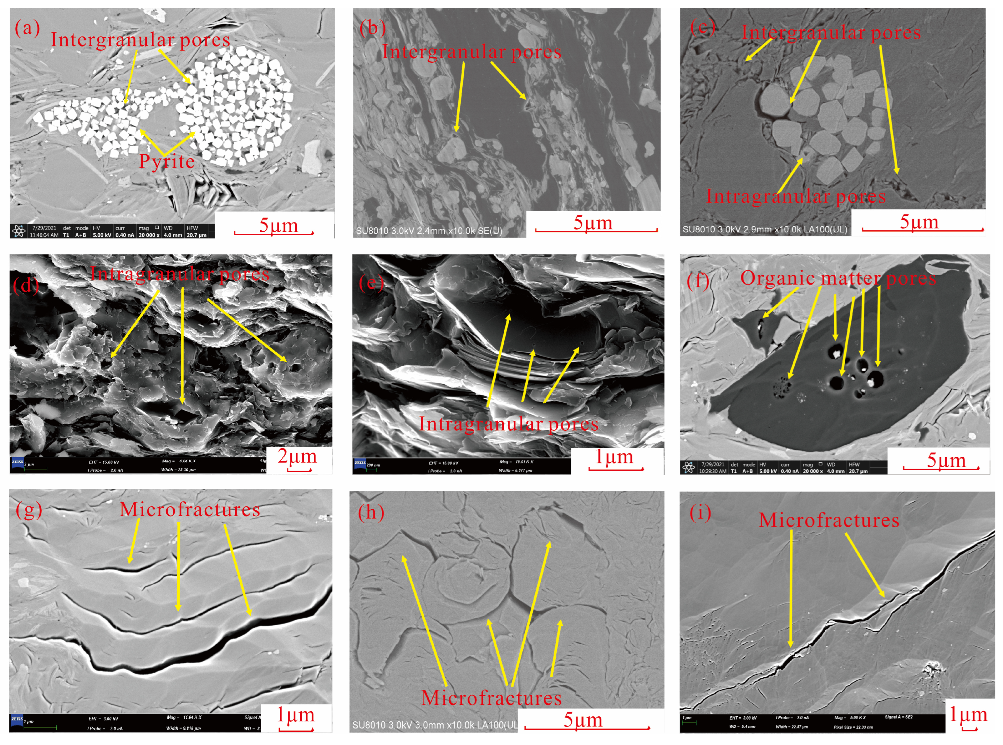 Fractalfract 09 00467 g002