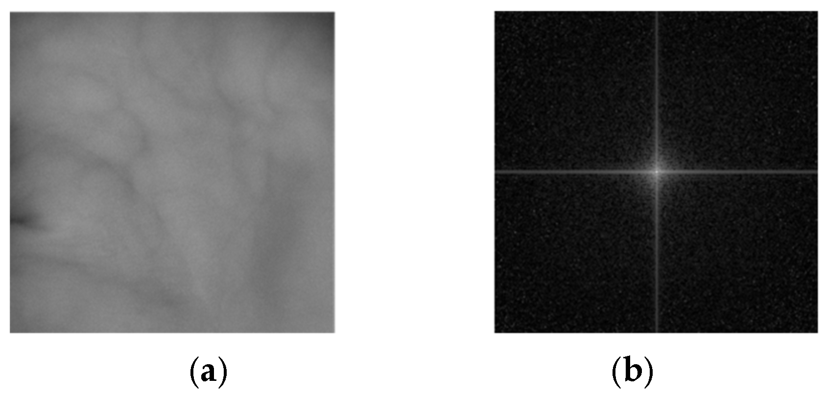 Fractalfract 09 00478 g006a