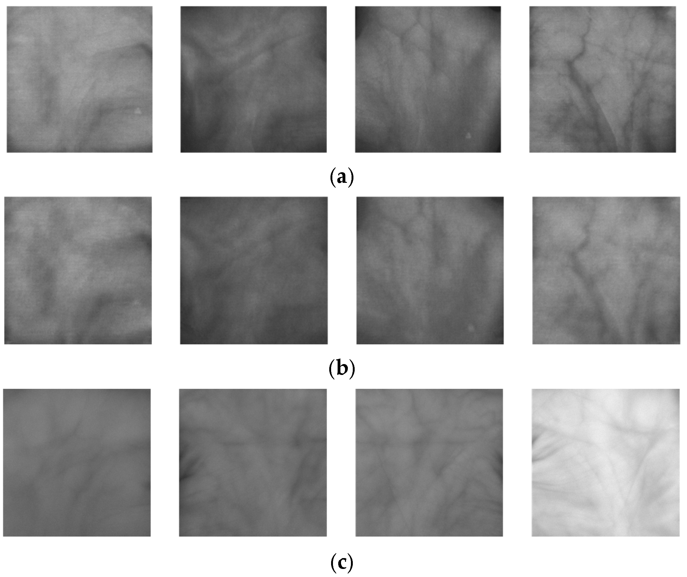 Fractalfract 09 00478 g007a