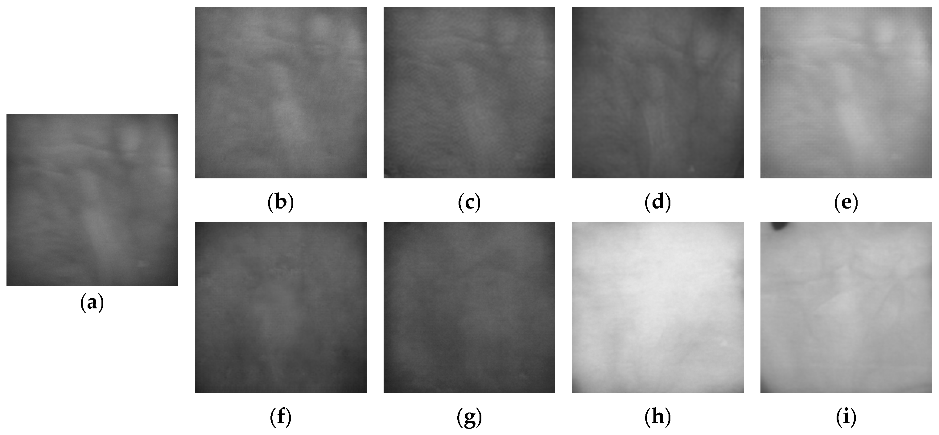 Fractalfract 09 00478 g010