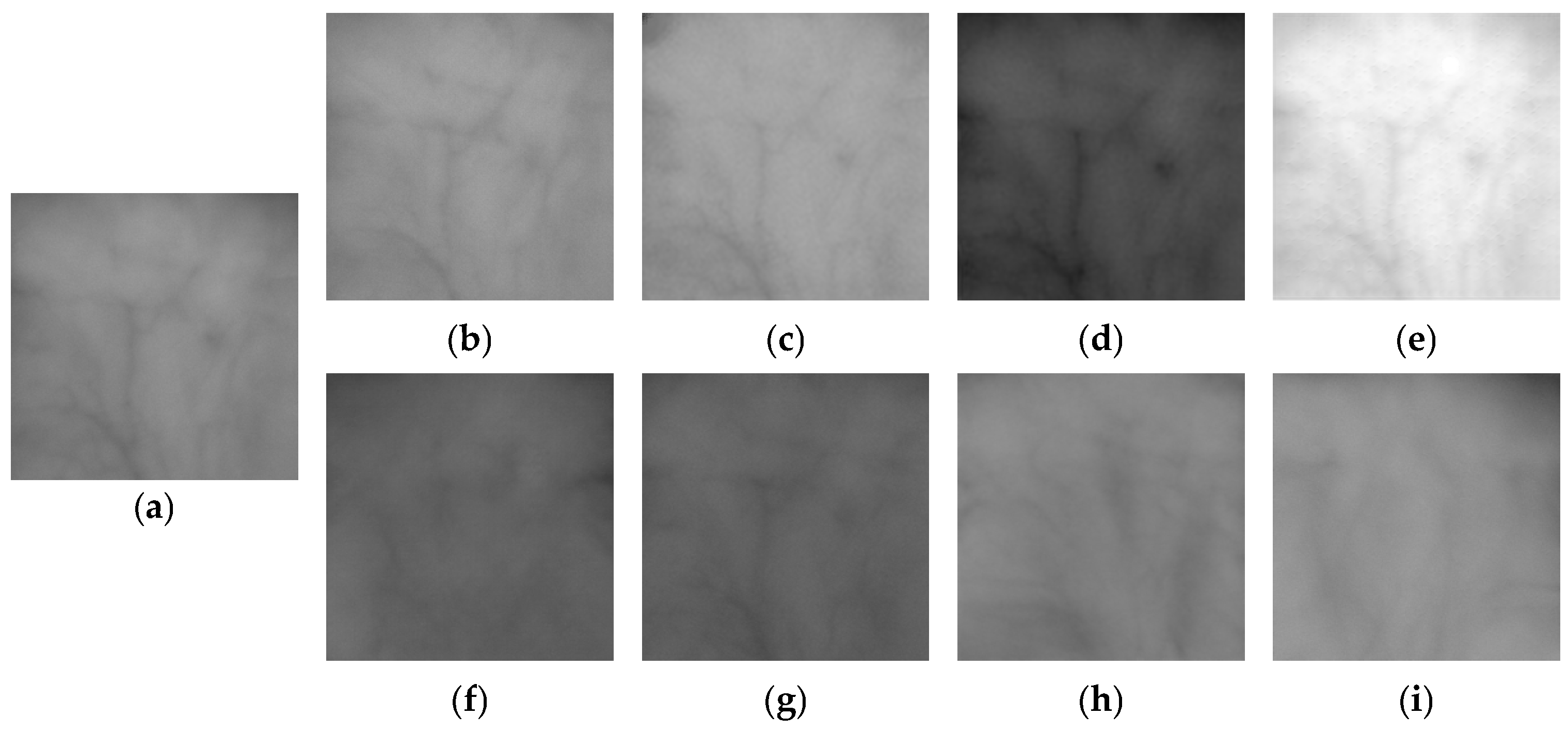 Fractalfract 09 00478 g011