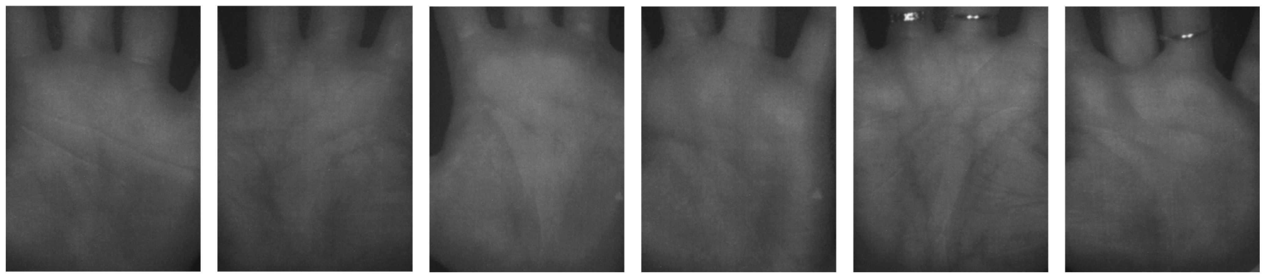 Fractalfract 09 00478 g016
