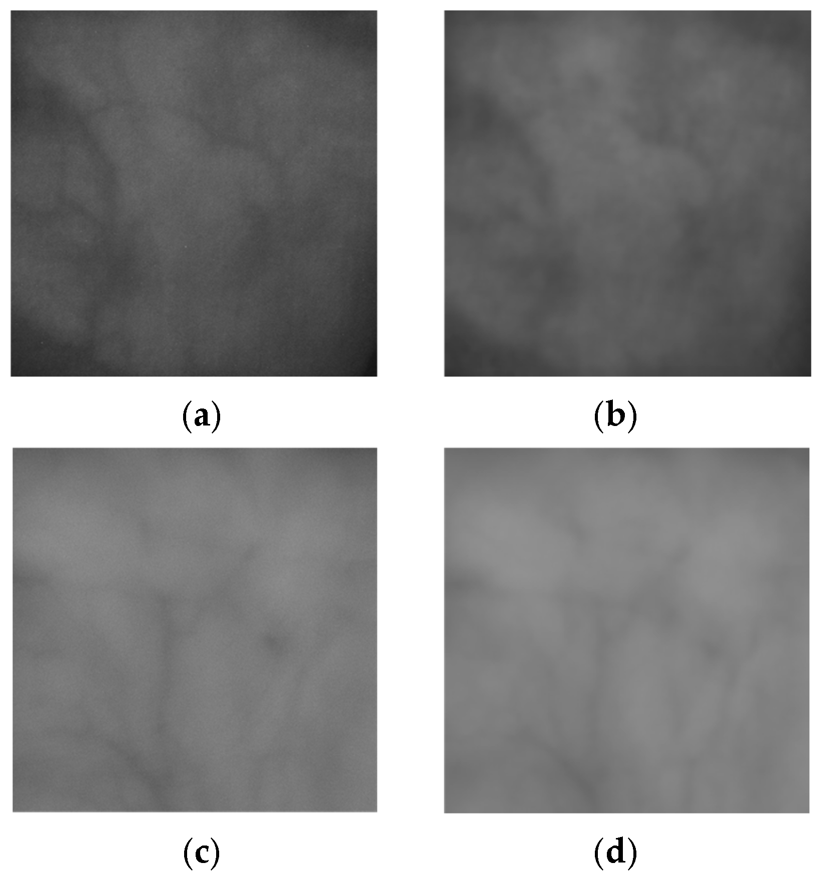 Fractalfract 09 00478 g017