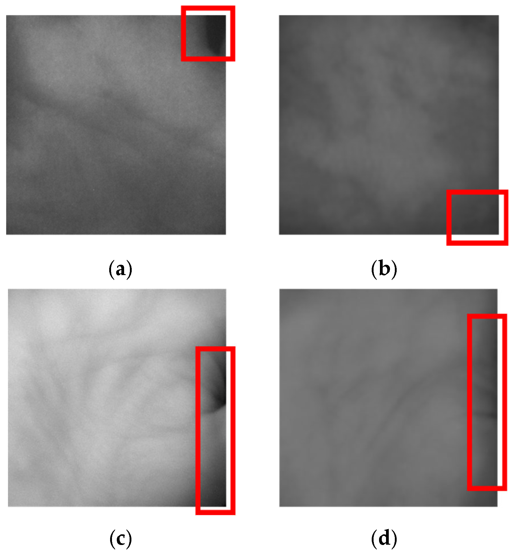 Fractalfract 09 00478 g018