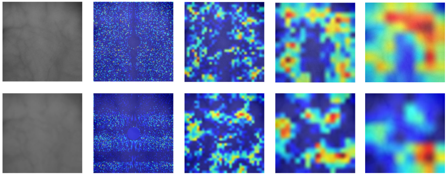 Fractalfract 09 00478 g020