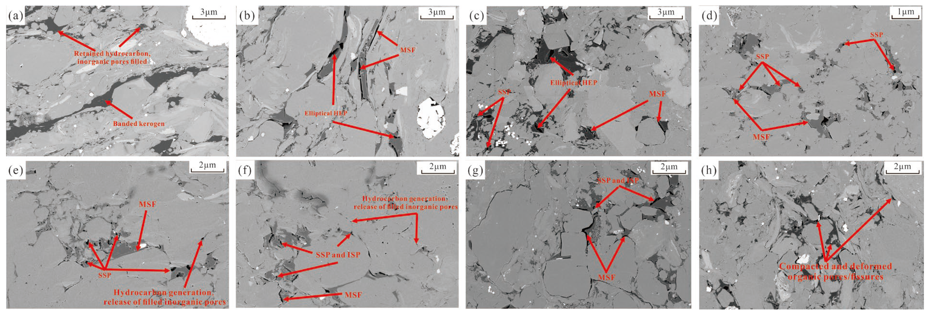 Fractalfract 09 00492 g004