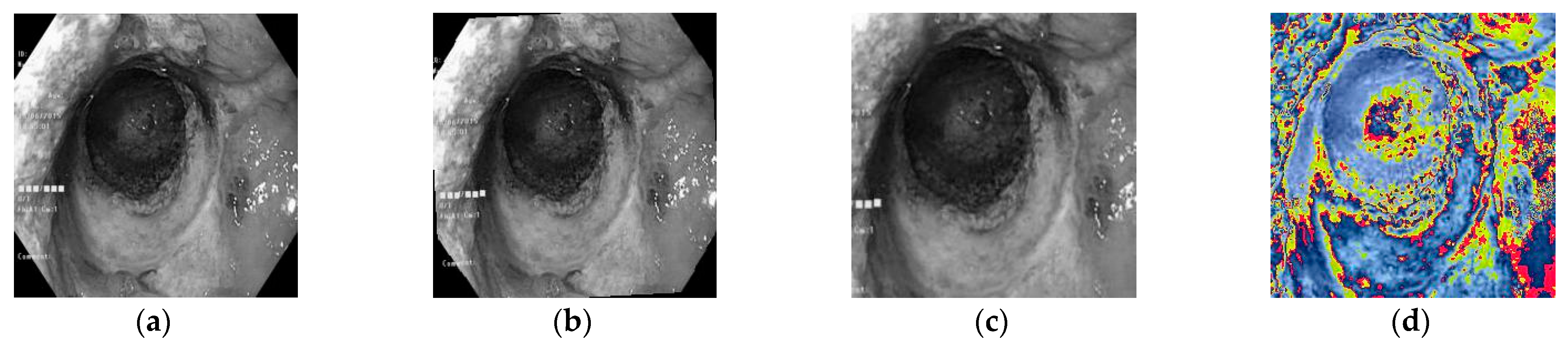 Fractalfract 09 00511 g006